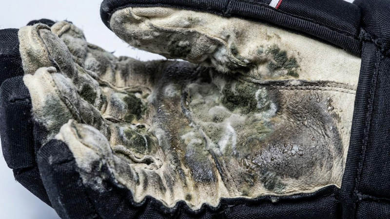 Hockey odor isn't the sweat itself. Mold and bacteria are releasing the stench. 